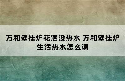 万和壁挂炉花洒没热水 万和壁挂炉生活热水怎么调